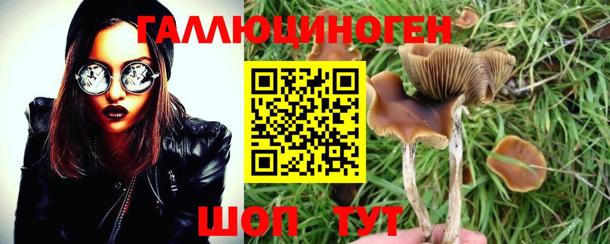 Галлюциногенные грибы Magic Shrooms  Вход с VPN  Североуральск 